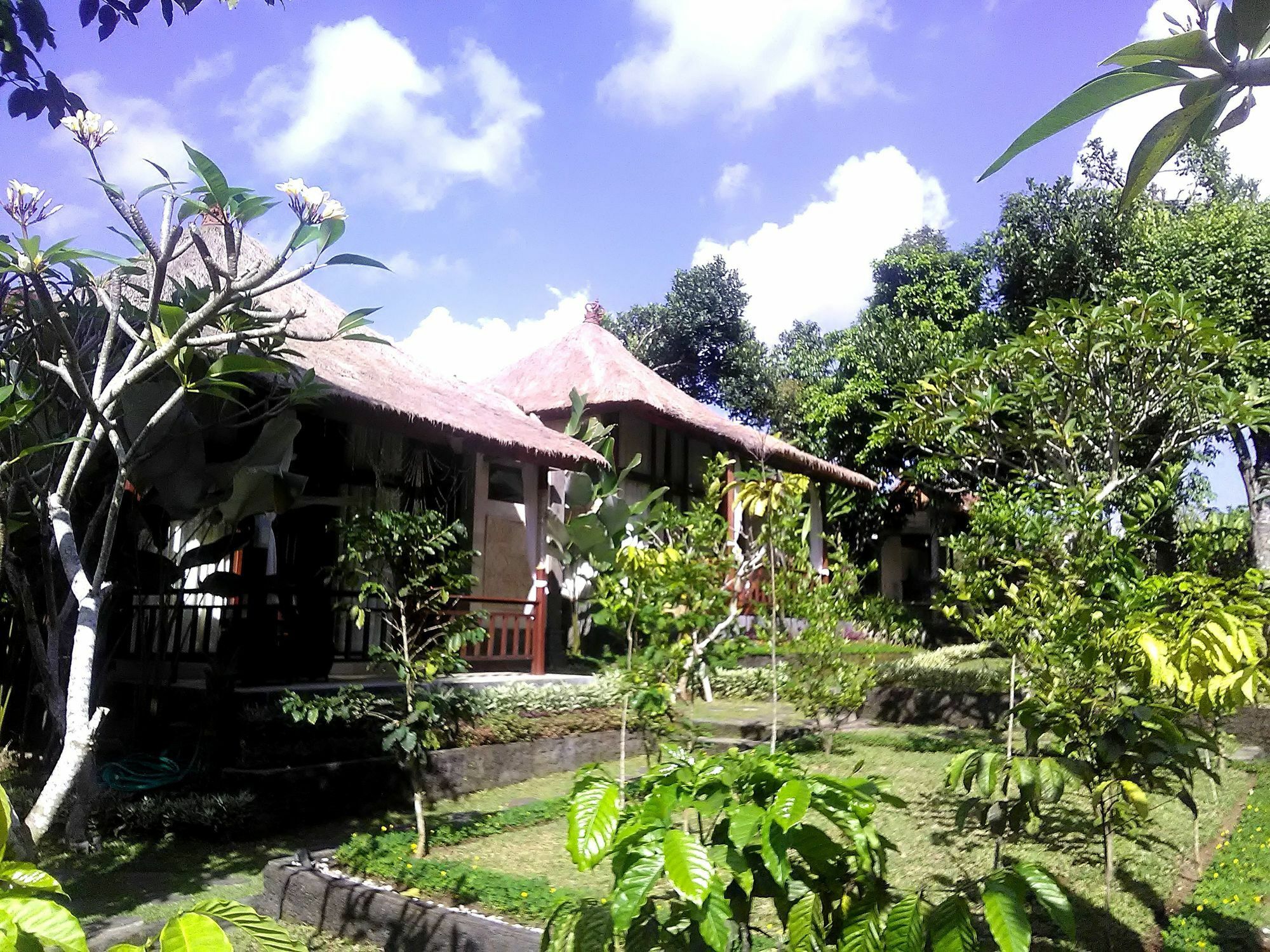 Astawa House Hotel Ubud Eksteriør billede