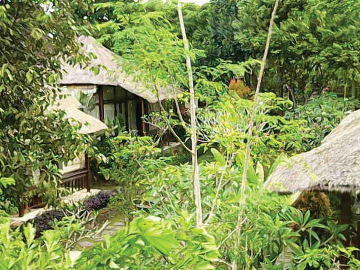 Astawa House Hotel Ubud Eksteriør billede